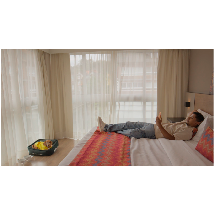 Rede de hotéis oferece mimos e conforto em apartamentos pet friendly